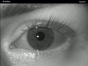 I am a medical student, and I recently programmed an open-source eye-tracker for brain research