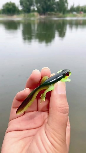 How to rig a frog lure? #BestOfTikTokPH #fishing #fishingtips #fishinggear #fishingmethods #fishingtiktoks #factory #outdooralwonder #fishingskills #fishinghook #fishinglife #fishinglifestyle #tiktokshop #fyp #fishingfun #fishingvideo #fishingbait #fishingtrip #fishingtime