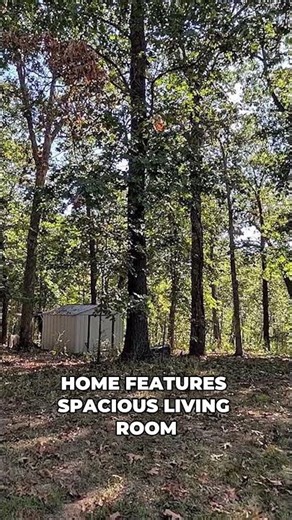 You Won’t Believe This 3-Bed Home on 3 Acres for Just $100K!