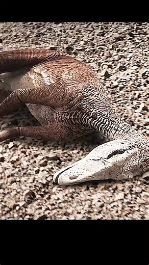 Jurassic Park wasn't fiction | Love Dinosaurs