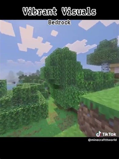 Visual Vibrance java vs Vibrant Visuals bedrock #minecraft #shaders #шейдеры #майнкрафт