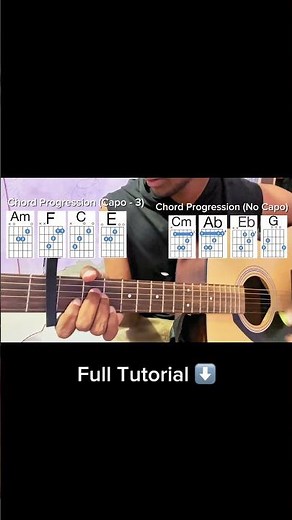 Like Animals - (BTS) | Easy Guitar Tutorial |