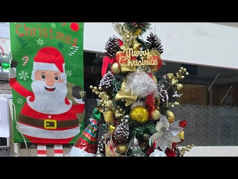 Cherry chen Taiwan Warrior is live! Taking Down D Tree