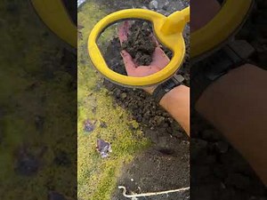 My Most Valuable Treasure Discoveries with a Metal Detector!