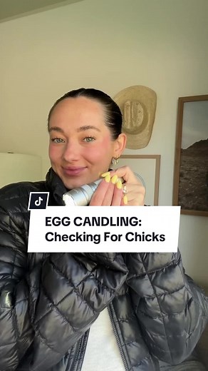 Egg Candling: Checking For Chicks