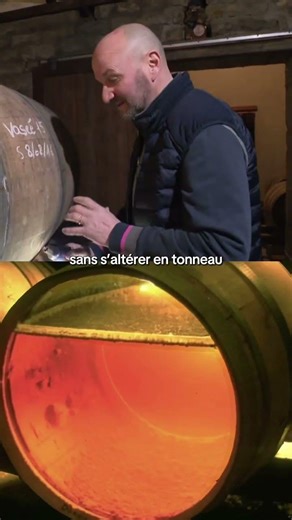 The amazing know-how of the Jura: publishing wines for 6 and a half years!