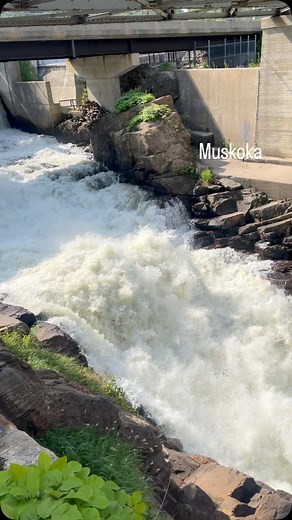Muskoka Falls Muskoka Lakes #canada #scenic #ontario #falls #spring #muskoka | Angelo Garcia