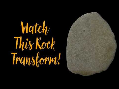 Painting a Realistic Barred Owl on Stone | Acrylic Rock Painting Tutorial | Wildlife Art #art #owl