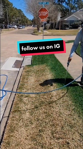 Garden Grass Painting: Innovative Lawn Care in Houston