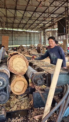 Amazing Wood Processing Factory! 🔥 #woodworking #shorts
