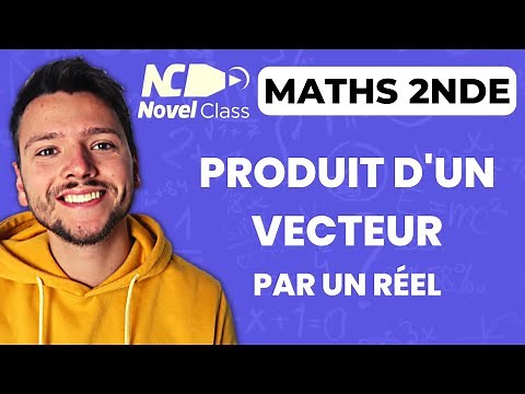 PRODUIT d'un VECTEUR par un NOMBRE RÉEL en 2 minutes - Maths Seconde