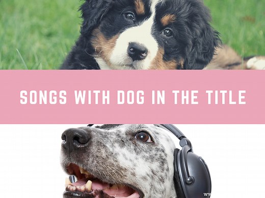 20 Songs With Dog in the Title - Musical Mum