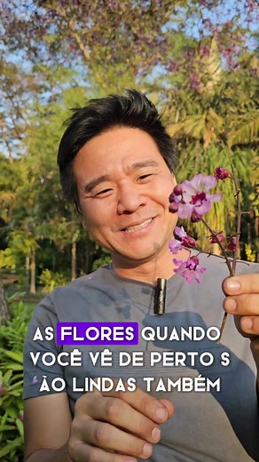 Árvore Nativa do Brasil: Pau de Rosas e suas Florações Impressionantes no Inverno