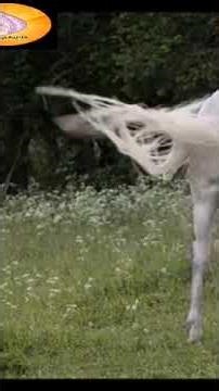 Relaxing ASMR Beach Night: Ocean Waves & Bonfire Sounds for Tranquil Sleep Music.