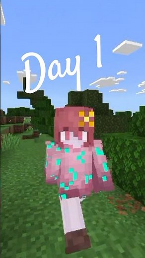 I will turn your profile picture into a minecraft skin!