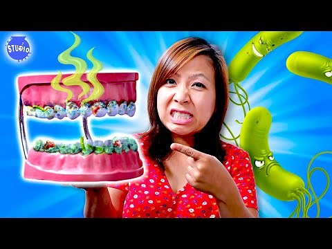Growing Bacteria and Germs DIY Science Experiments