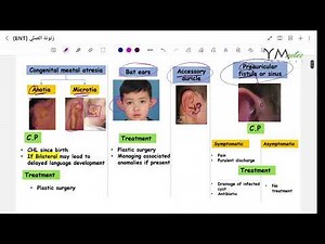 External Ear Diseases |ENT|