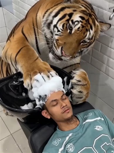 kesalon dulu biar fresh hari ni..