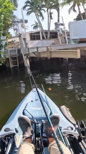 There’s just something about a fish blowing up on the surface that makes your heart skip a beat… 🎣💥 Topwater strikes are loud, explosive, and completely addictive. Once you feel that hit, there’s no going back. #TopwaterFishing #topwater #fishing #fishinglife | Topwater Co