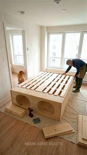 Cozy Corner: Create a Snuggly Bed for Your Furry Best Friend! 🐾