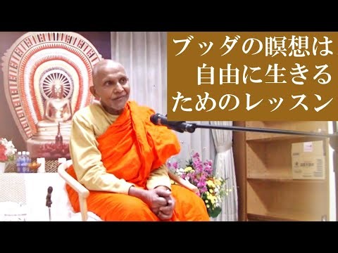 ブッダの瞑想は自由に生きるためのレッスン｜スマナサーラ長老の初期仏教法話とQ&A 瞑想合宿編（25 Nov 2025 誓教寺仏道実践会） #jtba #仏教 #ヴィパッサナー瞑想