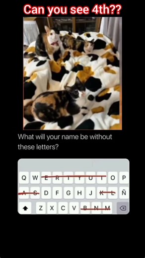 Find the 4th Cat Without Zooming 🔍😼 #shorts #memes