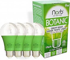 Norb NorbBOTANIC A19 LED Grow Light – Full-Spectrum 9W Plant Light, Mimics Sunlight for Seed Germination, Optimal Indoor Plant Growth, Herbs, Tropical, Houseplants, High-Intensity, E26 (4-Pack)
