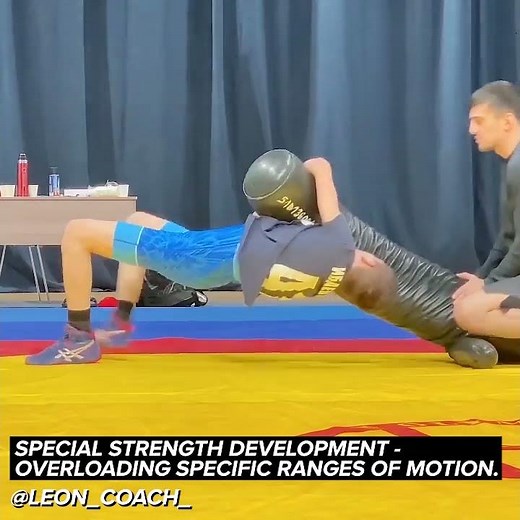 Examples of Wrestling Dummy Training (Special Strength Development)