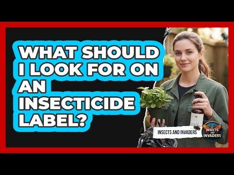 What Should I Look For On An Insecticide Label?