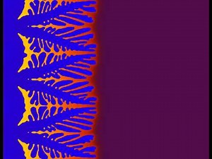 Solidification Dendritico