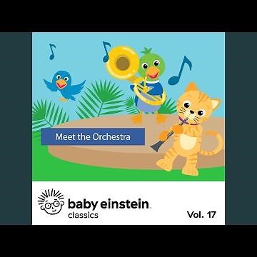 The Orchestra - Ode to Joy