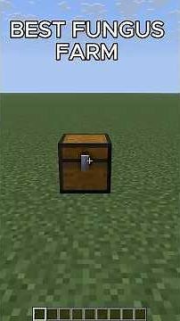Fungi Farm for Donut SMP Best Money Making Method 25M per hour #minecraft #mctutorial