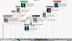 5 Best Case Timeline Software Tools for Lawyers