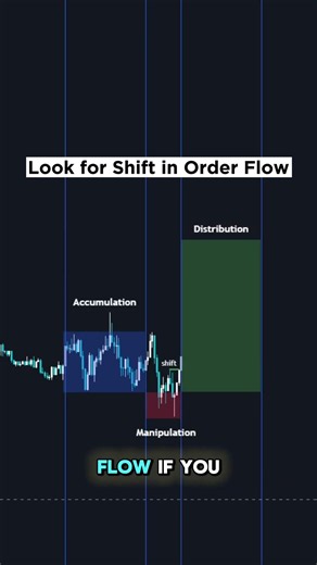 Master this 3 Phases to be Profitable
