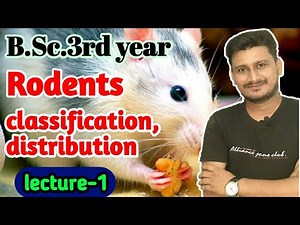 Rodents | General character classification and distribution of Rodents