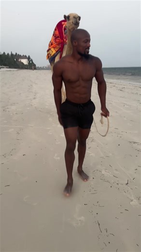 Steve's Fitness Meal Plan: Transform Your Diet Today