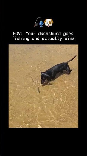 Look what he found! 🌊