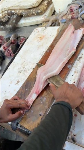 Amazing Big sole Fish Boneless Cutting Skills In ghazipur Market #shortvideo #fish #rrrm