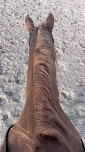 great confidence lesson tdy after falling off a lot in the past couple of weeks🫤