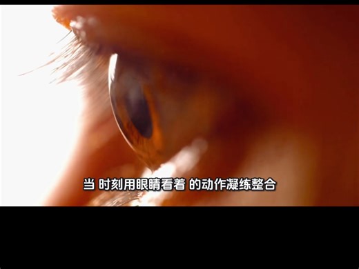 观之有道之observe：英语言视觉词族的表意脉络与认知内涵