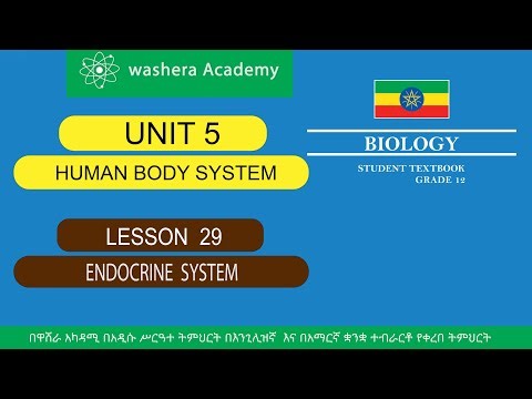 BIOLOGY GRADE 12 UNIT 5 LESSON 29 ENDOCRINE SYSTEM