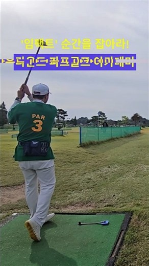 파크골프 치는 법! 티샷 스윙 임팩트 순간 잡기! #파크골프 #파크골프동영상 #파크골프스윙 #서산파크골프장 #파크골프잘치는법