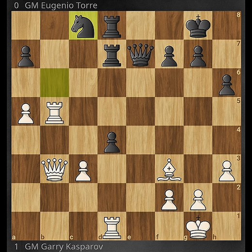 Brilliant Passed Pawn | Kasparov vs Torre - 1981 | Chess Infinity