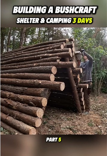 Bushcraft Shelter Building: 3-Day Camping Shelter Guide