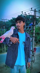 5.1K views · 21K reactions | ভাইরাল কার্টেসর ভিডিও#tending #vairal #viralvideos #video #short #moti #song #tending #vairal | NASIM BHAI | Facebook