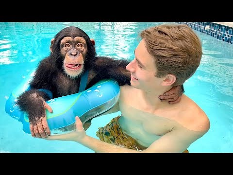 TEACHING BABY MONKEY HOW TO SWIM !