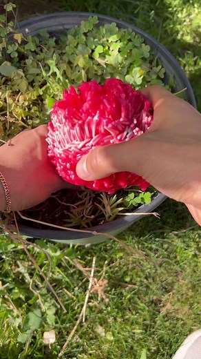 Comparing Strength: Green Magnets vs. Neodymium Magnet Experiment