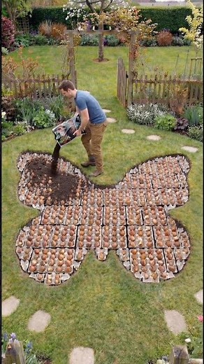 🌷 Thought These Were Eggs? Think Again…