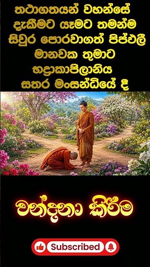 පිප්ඵලී මානවක තුමාට භද්‍රාකාපිලානිය සතර මංසන්ධියේදී වන්දනා කිරීම #buddha #sangha #dhamma