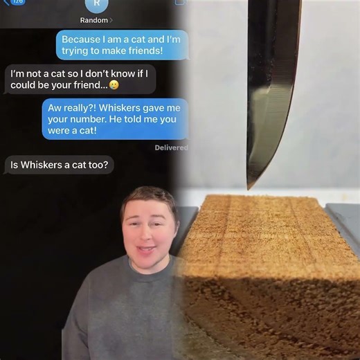 TALKING CAT!!!🐱😂 Texting Random Numbers! #Shorts